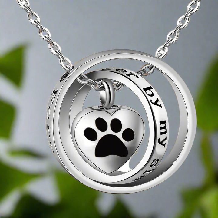 "Ya No Está A Mi Lado, Pero Siempre En Mi Corazón" – Collar Urna de Pata en Acero Inoxidable